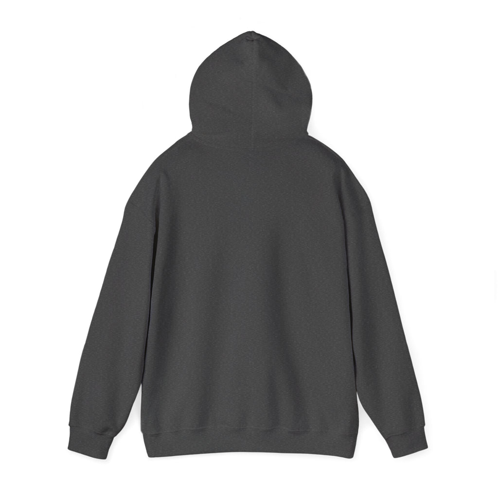Hoodie — 'Protect Your Peace' graphic design  Hoodie