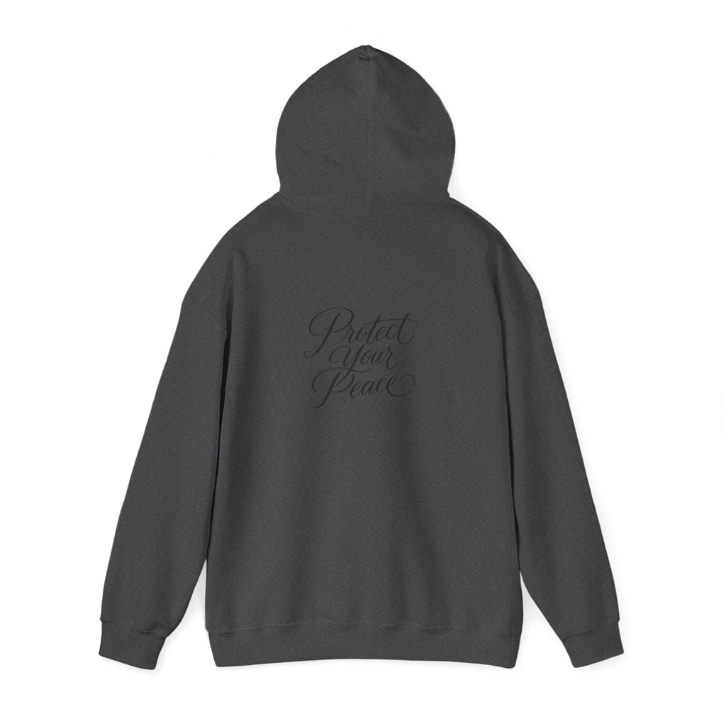 Protect Your Peace Hoodie2 — "Jesus Reigns" Faith Graphic Hooded Sweatshirt