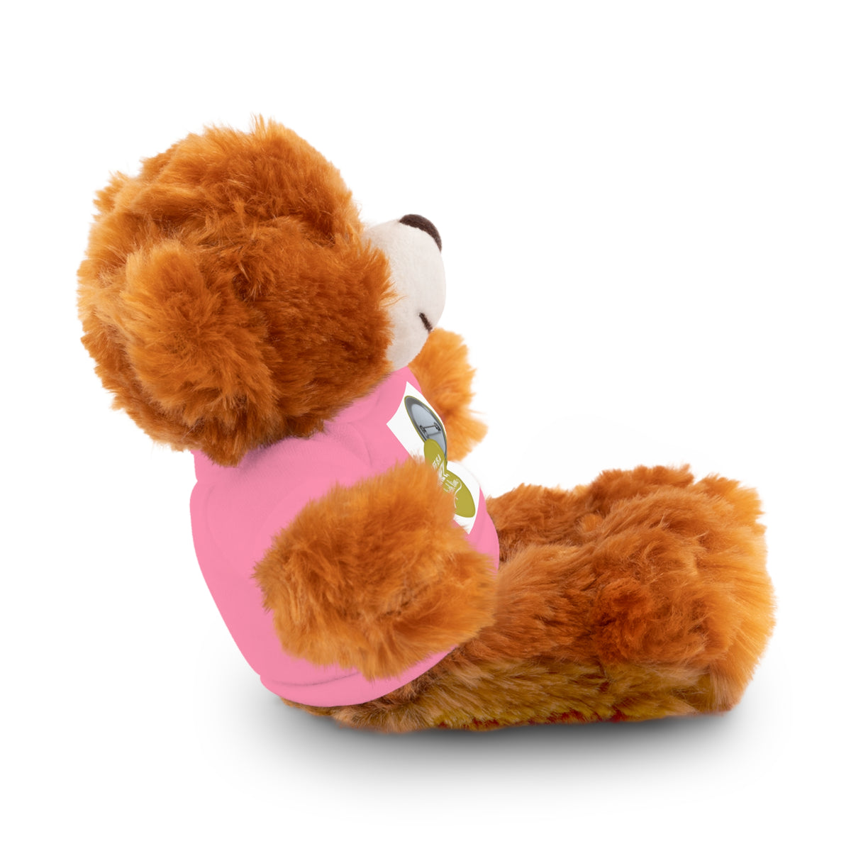 Cute Brown Teddy Bear with 'Life Is a Journey not a finish line.' Tee — Plush Gift for Kids & Travelers