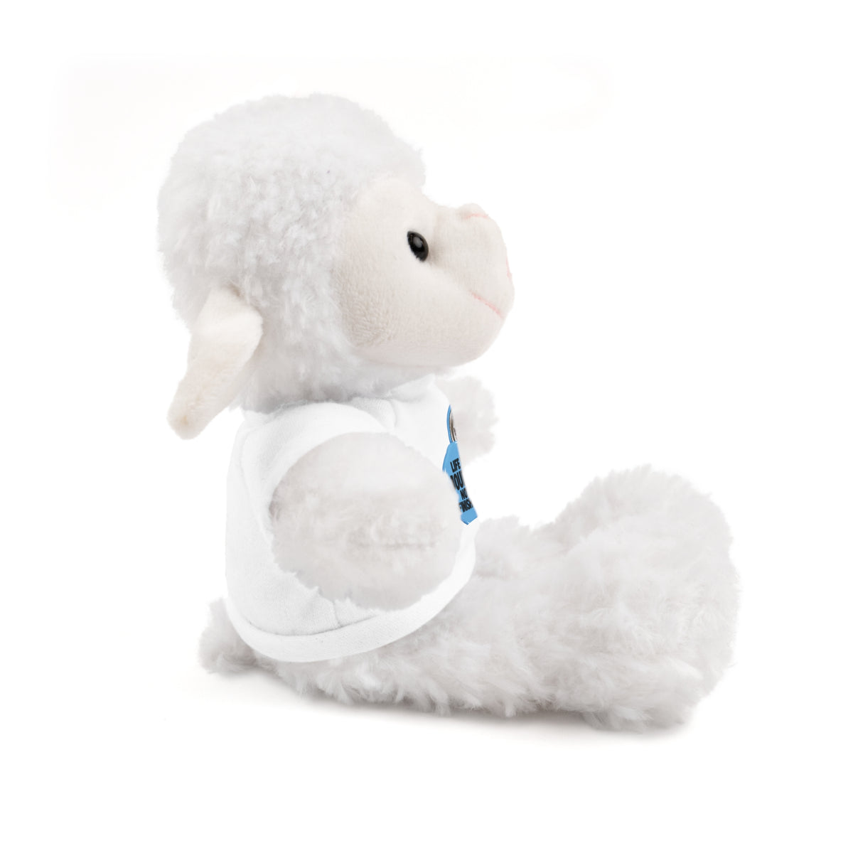 Plush Teddy Bear with Custom Tee — Cute Gift for Kids & Romantic Occasions