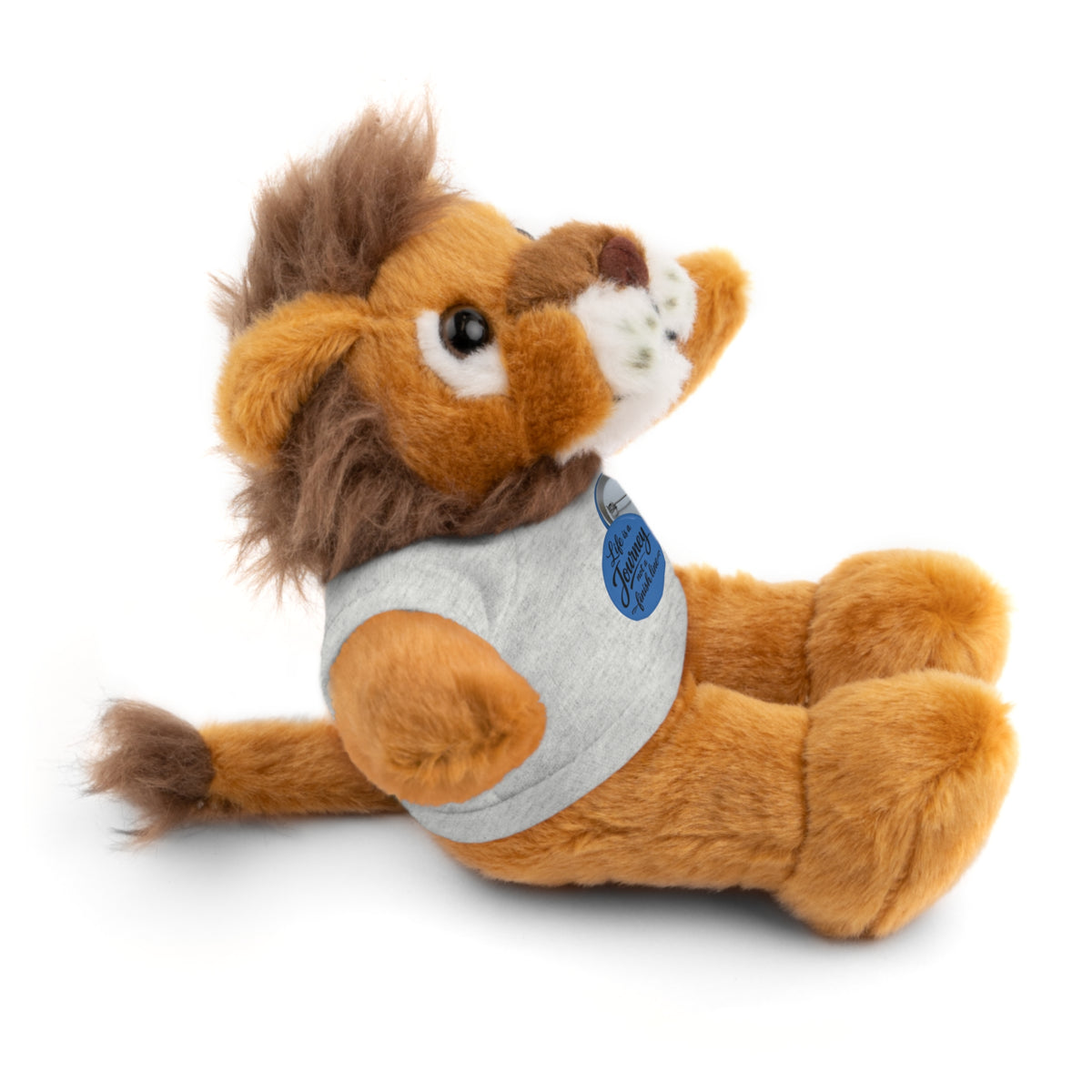 Personalized Teddy Bear with Custom Tee — Cute Plush Gift for Kids & Occasions
