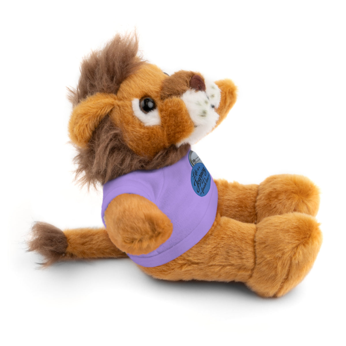 Personalized Teddy Bear with Custom Tee — Cute Plush Gift for Kids & Occasions