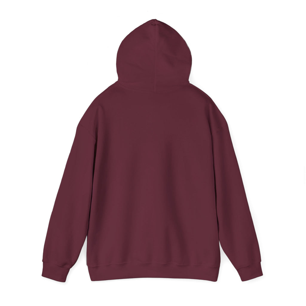 Hoodie — 'Protect Your Peace' graphic design  Hoodie