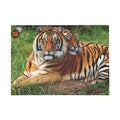 Tiger Duo Jigsaw Puzzle — Realistic Big Cat 96/252/500/1000-Piece Puzzle