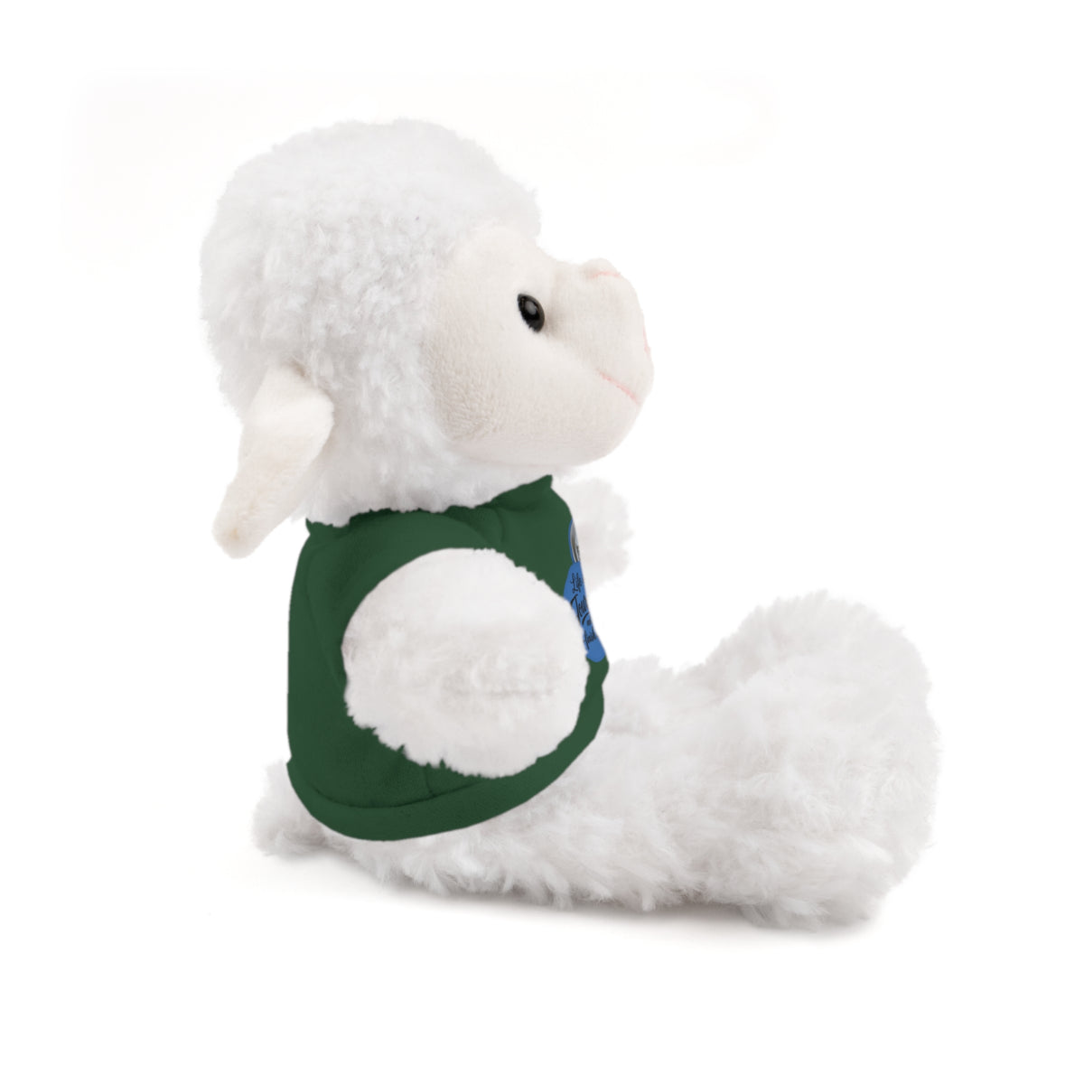 Personalized Teddy Bear with Custom Tee — Cute Plush Gift for Kids & Occasions