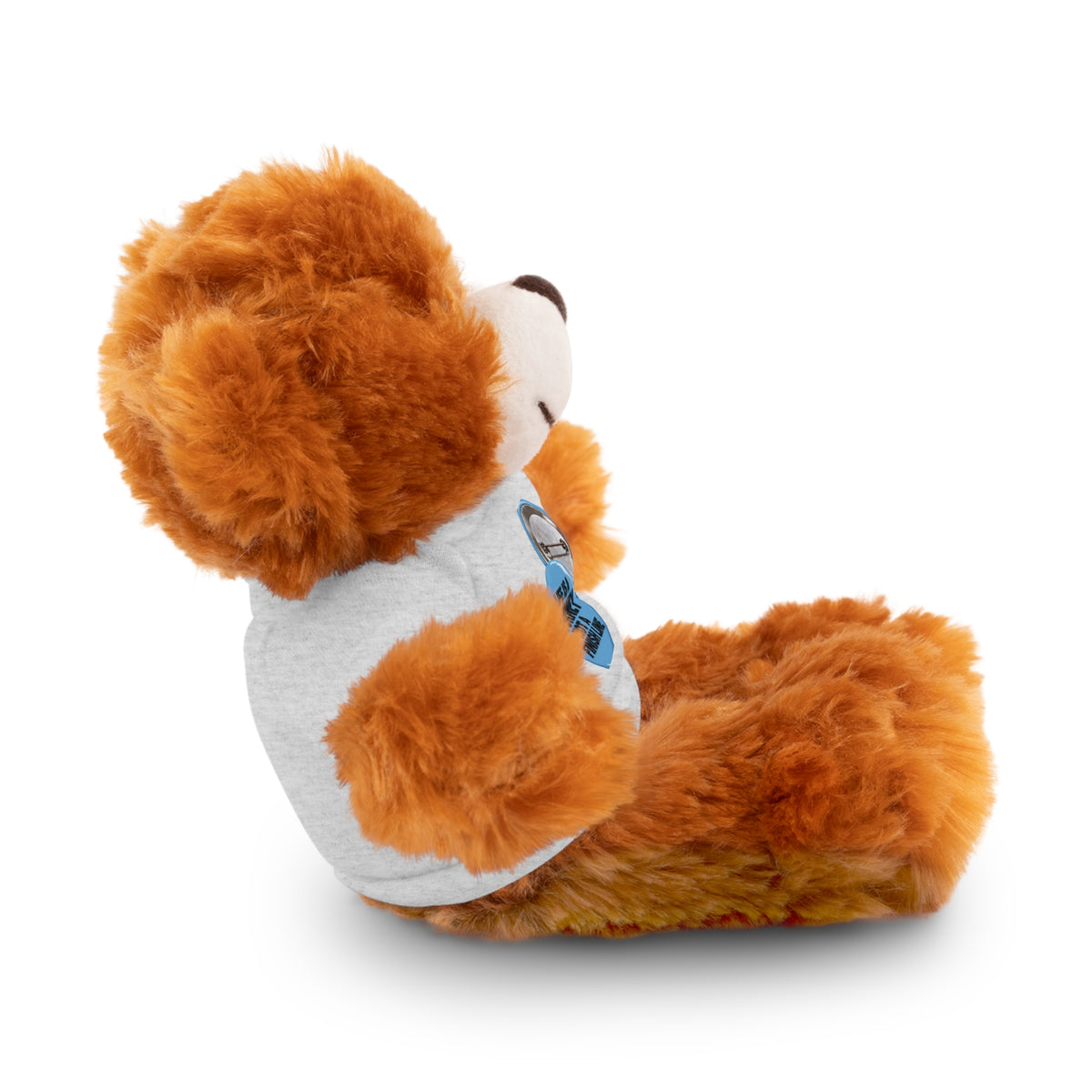 Plush Teddy Bear with Custom Tee — Cute Gift for Kids & Romantic Occasions