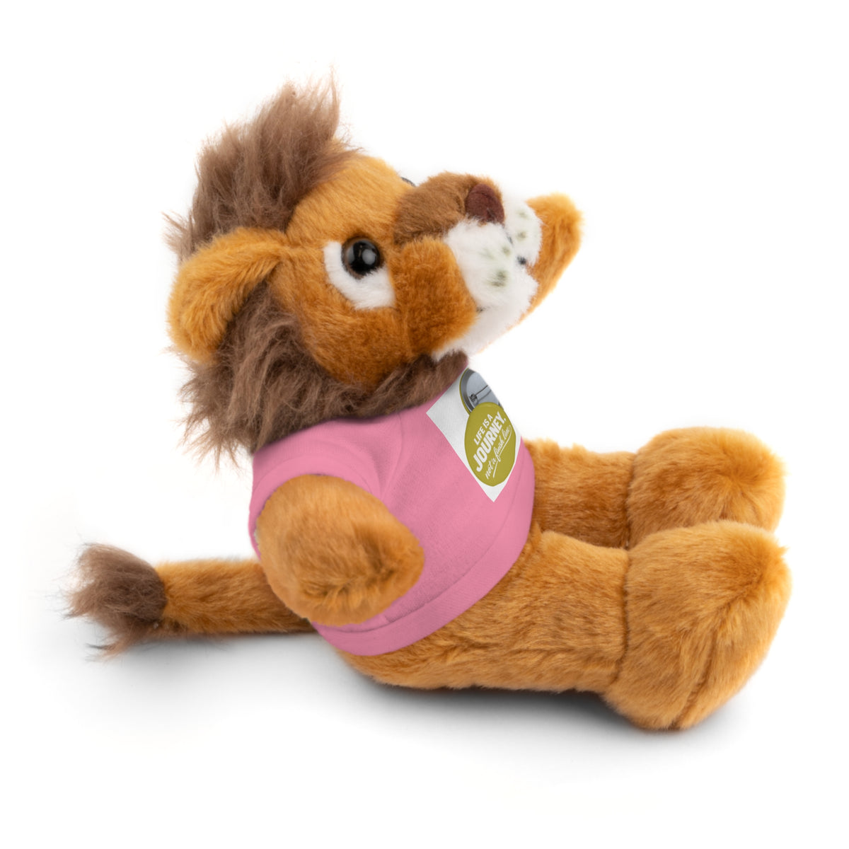 Cute Brown Teddy Bear with 'Life Is a Journey not a finish line.' Tee — Plush Gift for Kids & Travelers