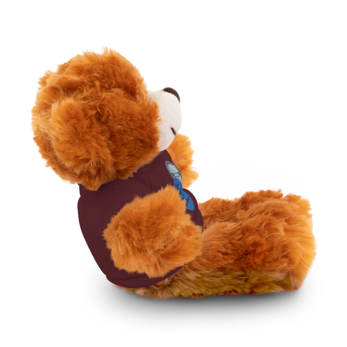 Personalized Teddy Bear with Custom Tee — Cute Plush Gift for Kids & Occasions