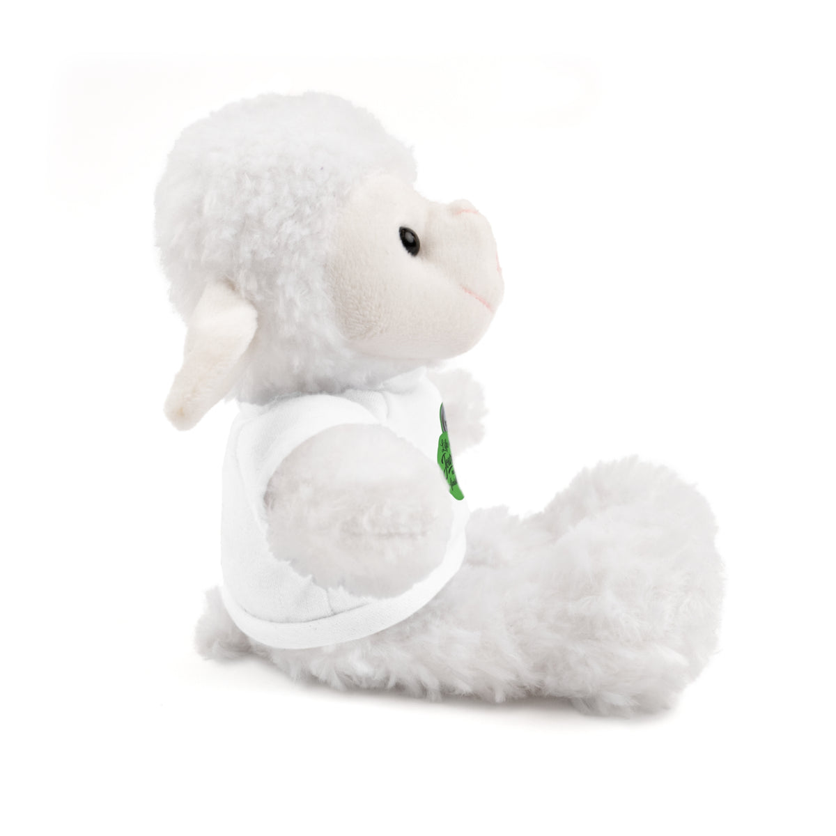 Custom T-Shirt Teddy Bear — Personalized Plush with Tee (Great for Gifts & Keepsakes)