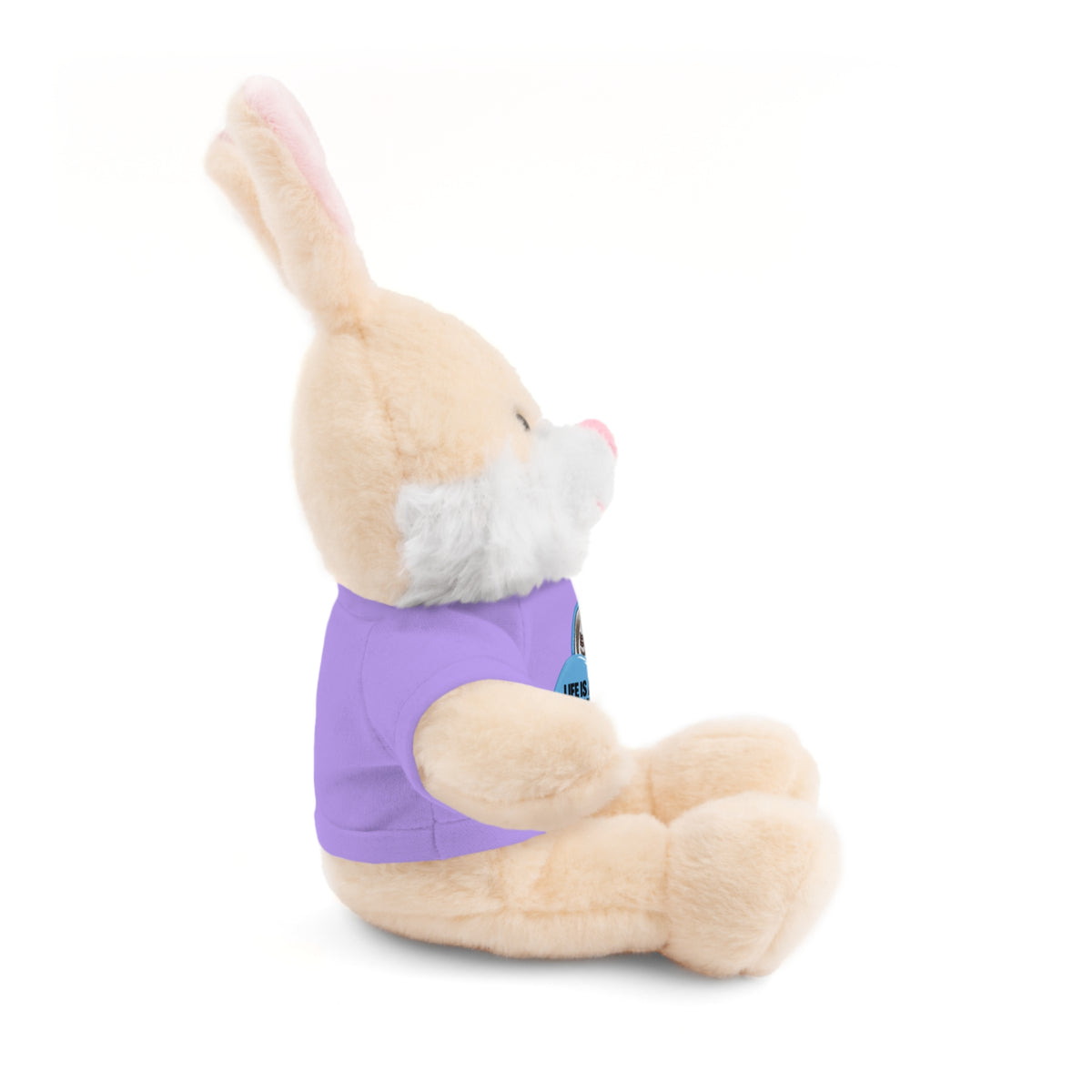 Plush Teddy Bear with Custom Tee — Cute Gift for Kids & Romantic Occasions
